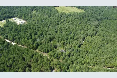 196 Brandy Road, Wagener, SC 29164 - Photo 2
