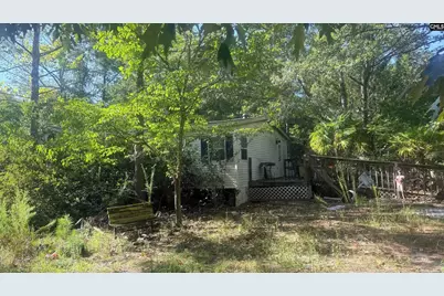 196 Brandy Road, Wagener, SC 29164 - Photo 8