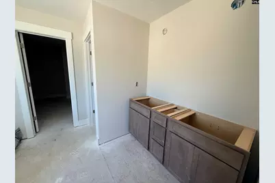 263 Lemon Tree Crossing, Elgin, SC 29045 - Photo 10