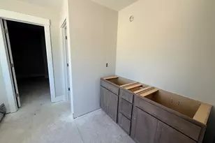 263 Lemon Tree Crossing, Elgin, SC 29045 - Photo 10