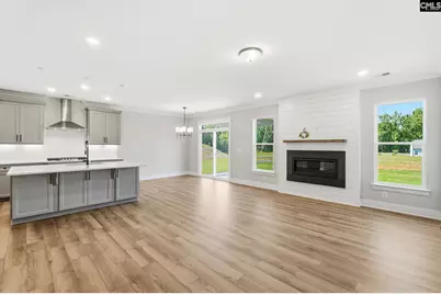 263 Lemon Tree Crossing, Elgin, SC 29045 - Photo 8