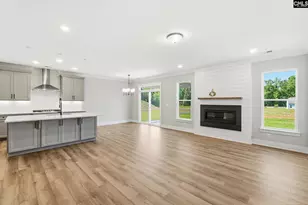 263 Lemon Tree Crossing, Elgin, SC 29045 - Photo 8