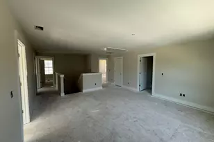 263 Lemon Tree Crossing, Elgin, SC 29045 - Photo 8
