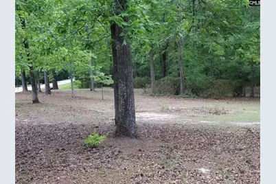 5535 Beckman Road, Lexington, SC 29073 - Photo 16