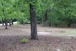 5535 Beckman Rd, Lexington, SC 29073 - Photo 16