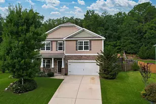 608 Muldrow Ln, Chapin, SC 29036 - Photo 68
