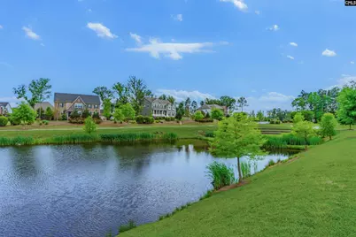 148 Almofini Lane, Chapin, SC 29036 - Photo 58