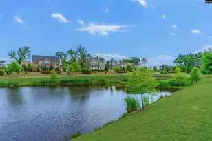 148 Almofini Ln, Chapin, SC 29036 - Photo 58