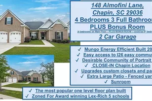 148 Almofini Ln, Chapin, SC 29036 - Photo 2