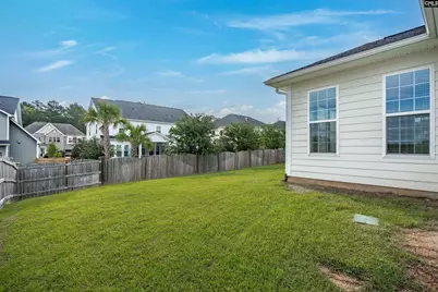 148 Almofini Lane, Chapin, SC 29036 - Photo 48