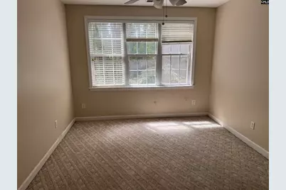 116 Rum Gully Lane, Chapin, SC 29036 - Photo 12