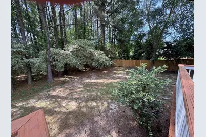 116 Rum Gully Lane, Chapin, SC 29036 - Photo 18