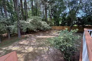 116 Rum Gully Ln, Chapin, SC 29036 - Photo 18