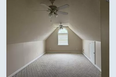 116 Rum Gully Lane, Chapin, SC 29036 - Photo 14