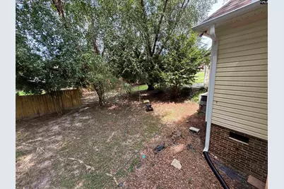 116 Rum Gully Lane, Chapin, SC 29036 - Photo 16
