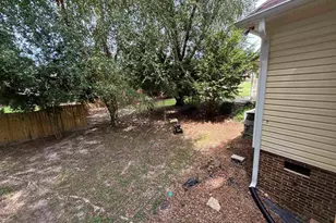 116 Rum Gully Ln, Chapin, SC 29036 - Photo 16