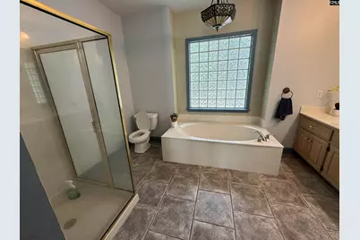 116 Rum Gully Lane, Chapin, SC 29036 - Photo 8