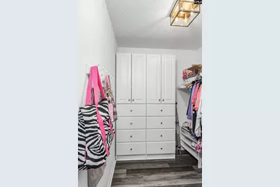 1158 Libby Ariail Circle, Chapin, SC 29036 - Photo 24