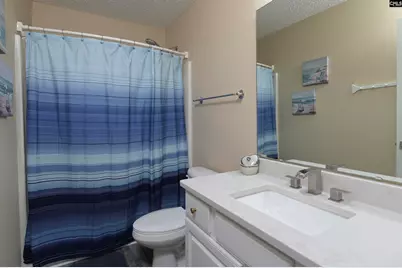 1158 Libby Ariail Circle, Chapin, SC 29036 - Photo 36