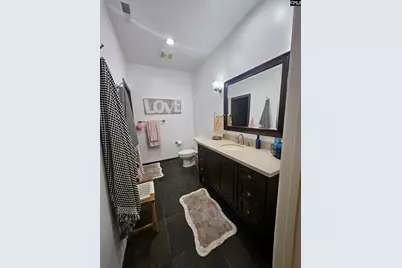 133 Hilton View Drive, Chapin, SC 29036 - Photo 26