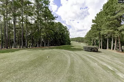 791 Carolina Aster Drive, Blythewood, SC 29016 - Photo 42
