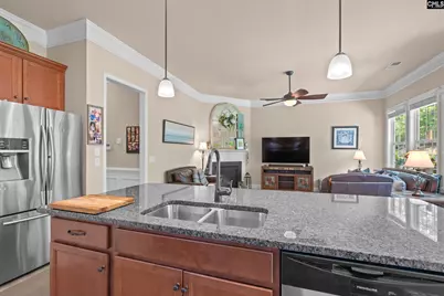 791 Carolina Aster Drive, Blythewood, SC 29016 - Photo 18