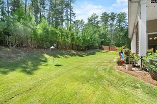791 Carolina Aster Dr, Blythewood, SC 29016 - Photo 4