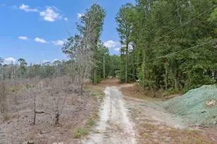 5814 Fairview Rd, Batesburg, SC 29006 - Photo 6