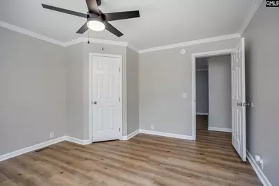 209 Sweetberry Lane, Lexington, SC 29073 - Photo 56
