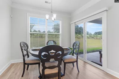 215 Falling Leaves Lane, Blythewood, SC 29016 - Photo 12