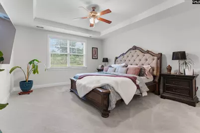 215 Falling Leaves Lane, Blythewood, SC 29016 - Photo 14