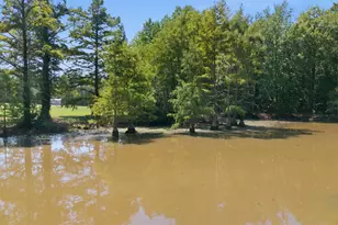 169 Shumpert Rd, West Columbia, SC 29172 - Photo 94