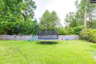 608 Carola Ln, Lexington, SC 29072 - Photo 48
