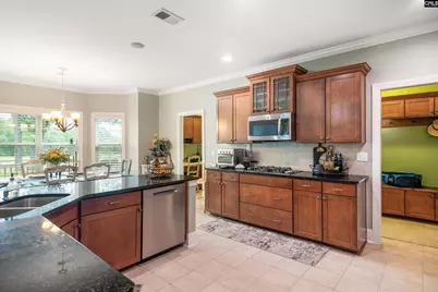 521 Patterdale Lane, Blythewood, SC 29016 - Photo 12