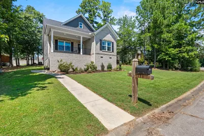 133 Night Harbor Drive, Chapin, SC 29036 - Photo 4