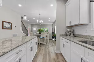 133 Night Harbor Dr, Chapin, SC 29036 - Photo 14