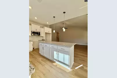 163 Andover Way, Lugoff, SC 29078 - Photo 8