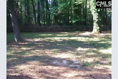 318 Chatteris Road, Irmo, SC 29063 - Photo 20