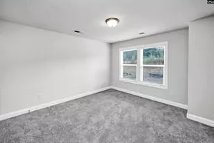 436 Swamp Fox Dr, Lexington, SC 29072 - Photo 18