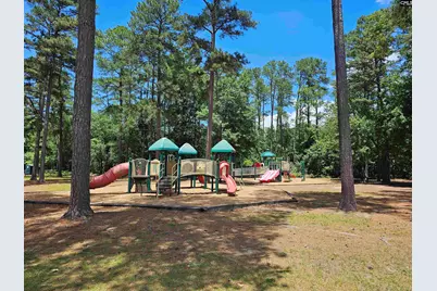 179 Courtside Drive, Lexington, SC 29073 - Photo 36