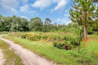 4594 Timrod Road, Bethune, SC 29009 - Photo 22
