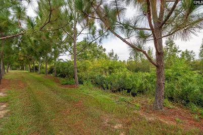 4594 Timrod Road, Bethune, SC 29009 - Photo 32