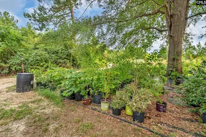 4594 Timrod Road, Bethune, SC 29009 - Photo 44