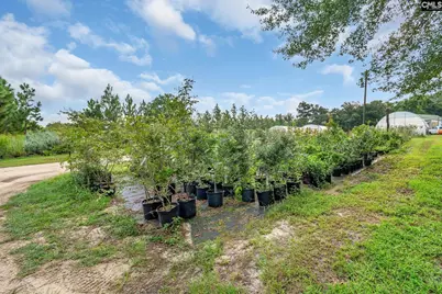4594 Timrod Road, Bethune, SC 29009 - Photo 42