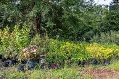 4594 Timrod Road, Bethune, SC 29009 - Photo 10