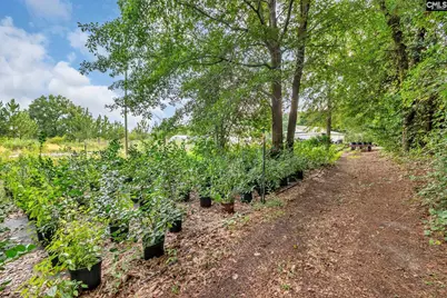 4594 Timrod Road, Bethune, SC 29009 - Photo 46