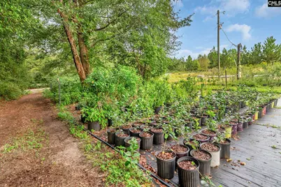 4594 Timrod Road, Bethune, SC 29009 - Photo 48