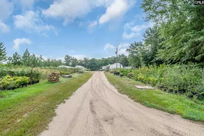 4594 Timrod Road, Bethune, SC 29009 - Photo 38