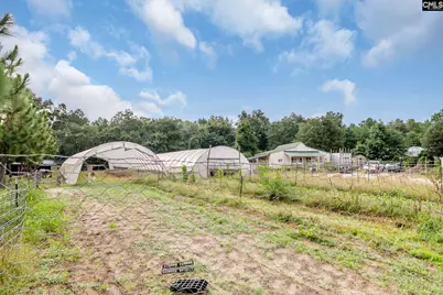 4594 Timrod Road, Bethune, SC 29009 - Photo 58