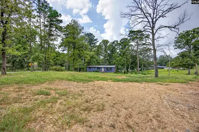 3249 Driftwood Point Road, Gilbert, SC 29054 - Photo 32
